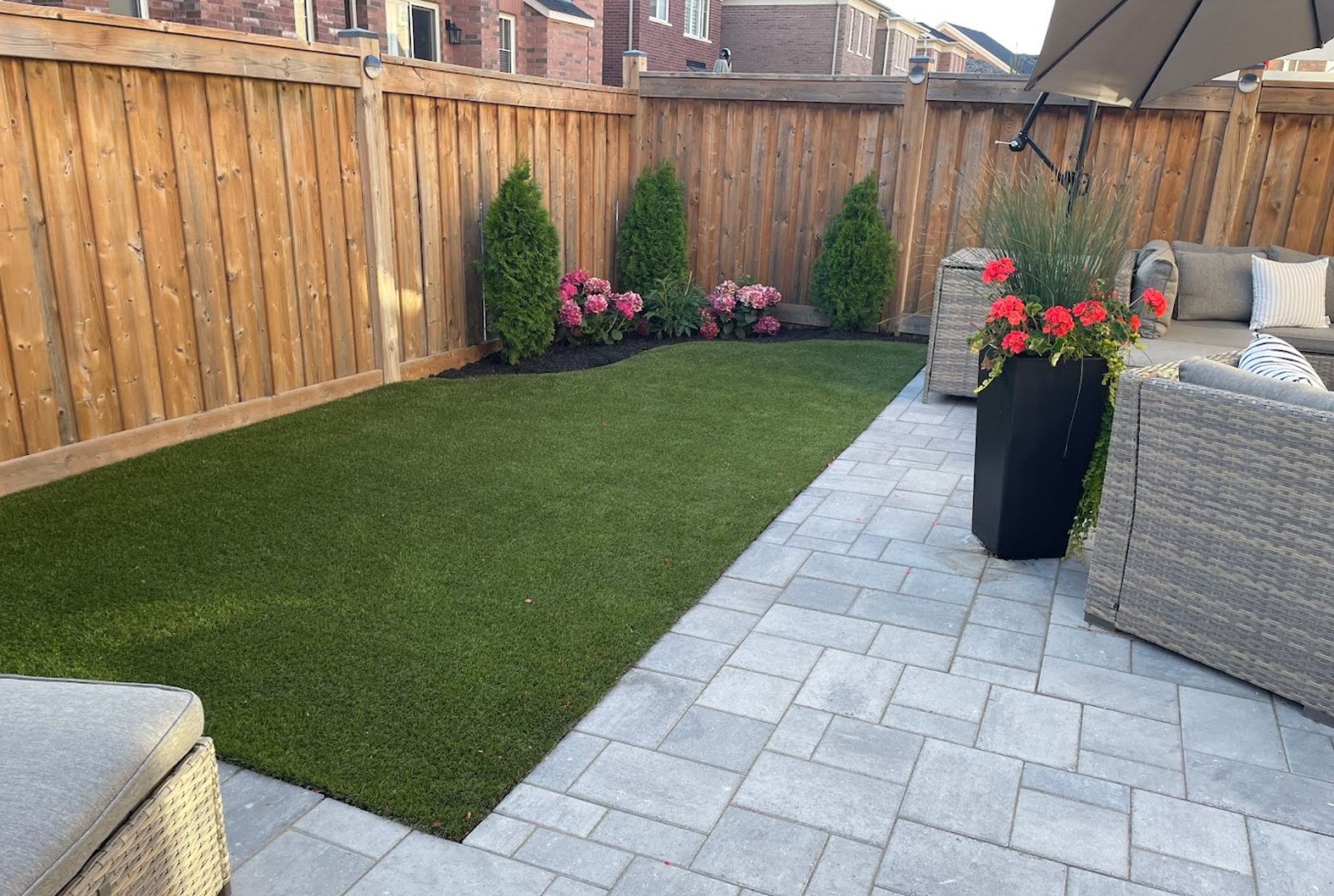 backyard turf 3