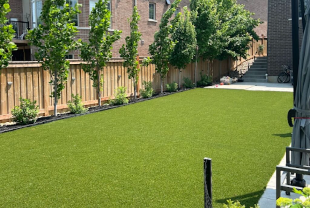 backyard turf 4