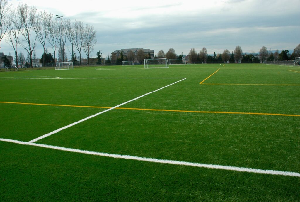 soccer field turf 2